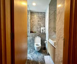 Cairnhill Road (D9), Condominium #539958641